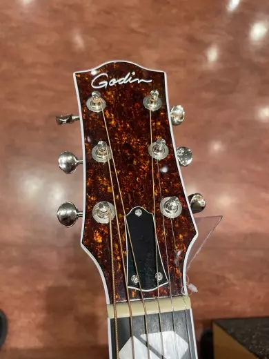 Store Special Product - Godin Guitars - G47918