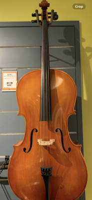 Store Special Product - Eastman Strings - VC80ST Laminate Cello Outfit - 3/4
