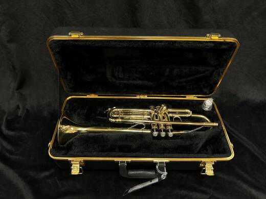 Store Special Product - Bach - TR300H2