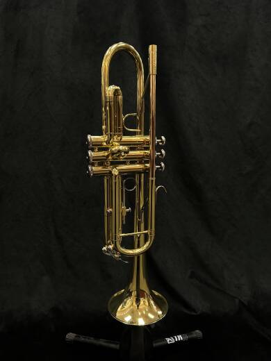 Store Special Product - Bach - TR300H2