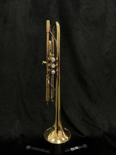Store Special Product - Bach - TR300H2