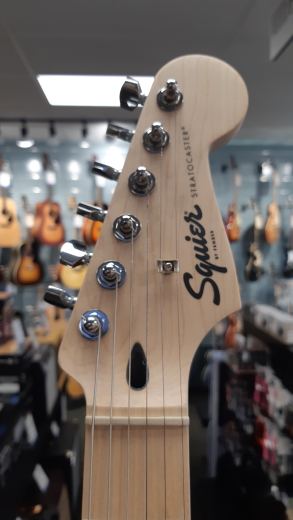 Store Special Product - SQUIER SONIC STRAT MN WPG 2TS