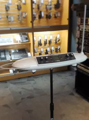 Store Special Product - Moog - EW-THEREMINI-01