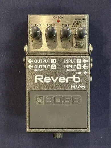 Store Special Product - BOSS - RV-6