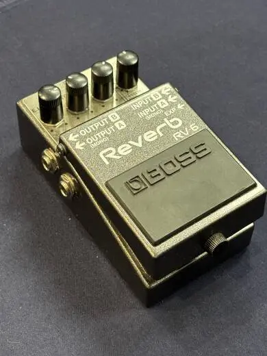 Store Special Product - BOSS - RV-6