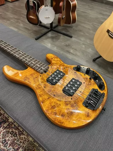 Store Special Product - Sterling by Music Man - RAY34HHPB-AM-R2