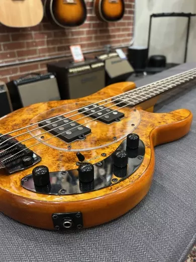 Store Special Product - Sterling by Music Man - RAY34HHPB-AM-R2