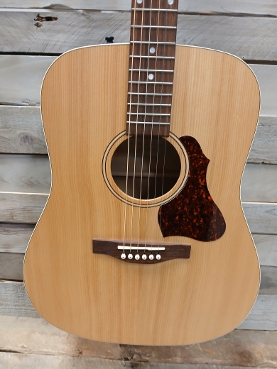 Store Special Product - Simon and Patrick - SP49424