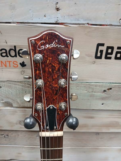 Store Special Product - Godin Guitars - G48458