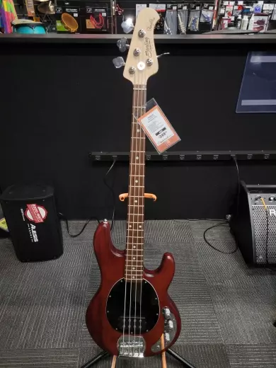 Store Special Product - Sterling by Music Man - RAY4-WS-J1