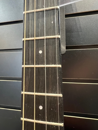 Store Special Product - Gold Tone Tenor Guitar w/ bag