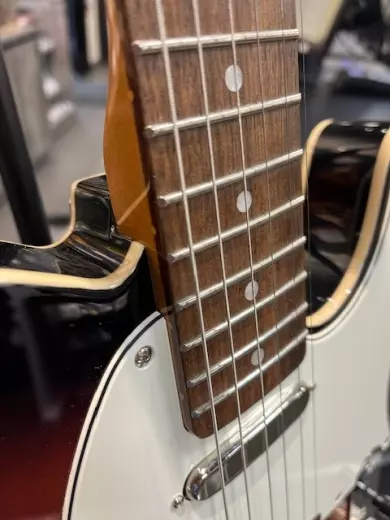Store Special Product - Squier - 037-4040-500