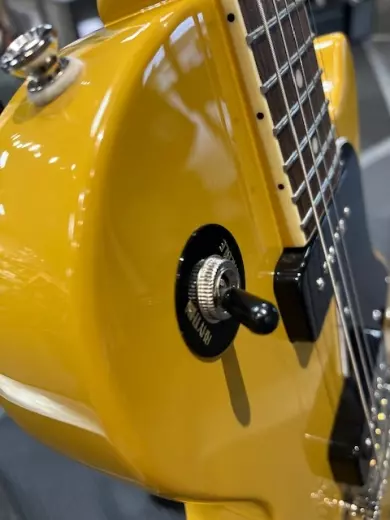 Store Special Product - Epiphone - EILPTVNH