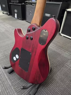 Store Special Product - EVH - EVH WG STD EXOTIC BKD MPL