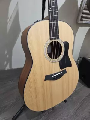 Store Special Product - Taylor Guitars - 117E