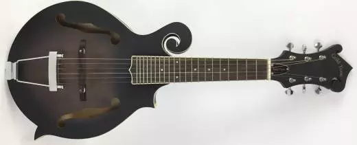 Store Special Product - Gold Tone - GT-F6 Six String Mandolin