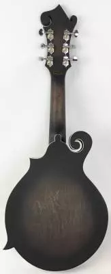 Store Special Product - Gold Tone - GT-F6 Six String Mandolin
