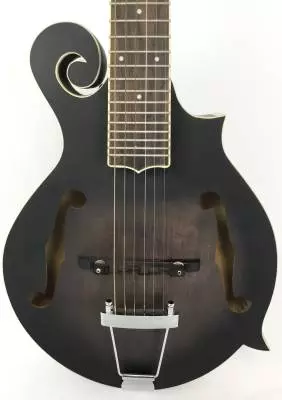 Store Special Product - Gold Tone - GT-F6 Six String Mandolin