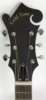 Store Special Product - Gold Tone - GT-F6 Six String Mandolin