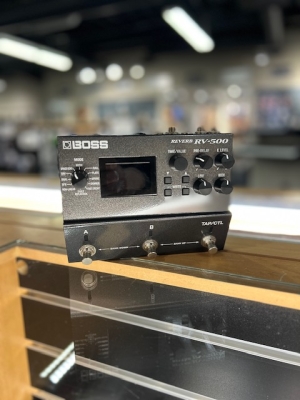 Store Special Product - BOSS - RV-500