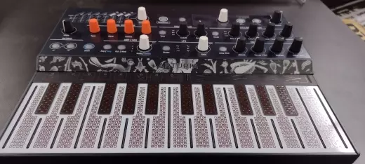 Store Special Product - Arturia - MICRO FREAK