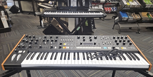 Store Special Product - Moog - MUSE