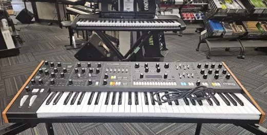 Store Special Product - Moog - MUSE
