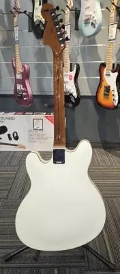 Store Special Product - Fender - 026-2370-505