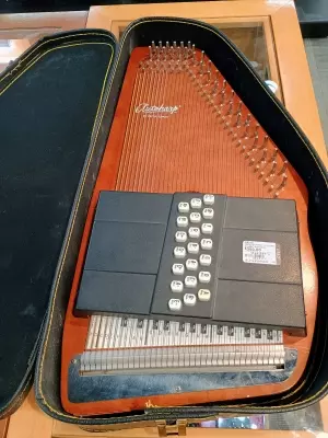 Store Special Product - Oscar Schmidt - OS21C