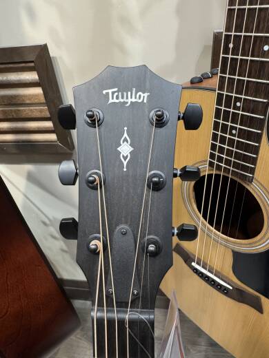 Store Special Product - Taylor Guitars - 324CE V9