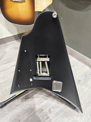 Store Special Product - ESP Guitars - EIIALEXIRIPPED