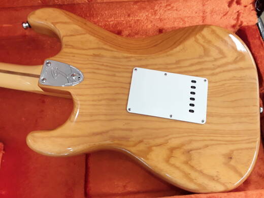 Store Special Product - Fender - 011-0270-834