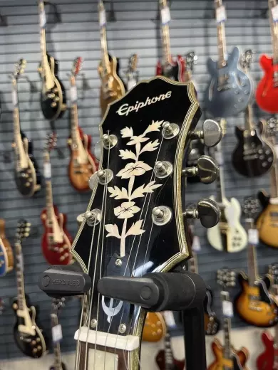 Store Special Product - Epiphone - ETSWBANB