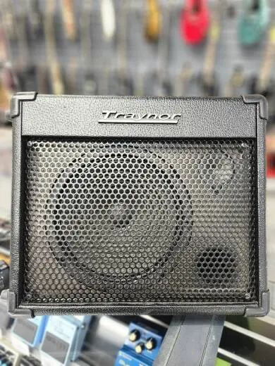 Store Special Product - Traynor - TVM15