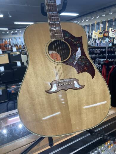 Store Special Product - Gibson - ACODOANNH