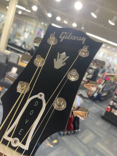 Store Special Product - Gibson - ACODOANNH