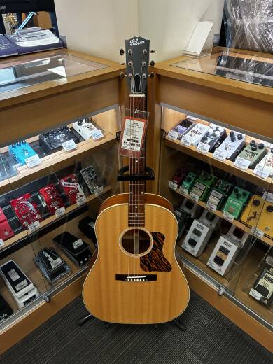 Store Special Product - Gibson - ACO35FANNH