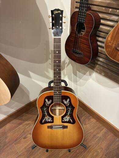 Store Special Product - Gibson - ACMP45HCNH