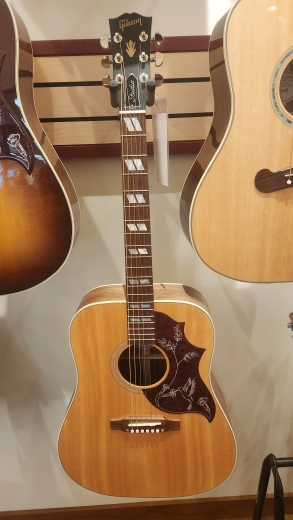 Store Special Product - GIBSON HUMMINGBIRD STUDIO WALNUT