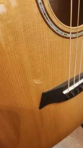 Store Special Product - Taylor Guitars - GT 611E LTD
