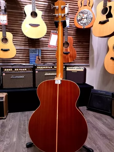 Store Special Product - Epiphone - EIABSJANANH