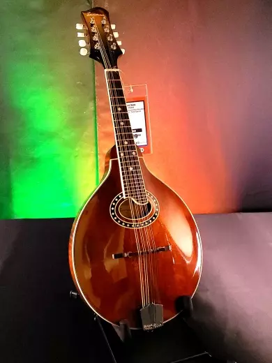 Store Special Product - Eastman Guitars - MD504