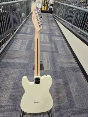 Store Special Product - Squier - 037-8271-505