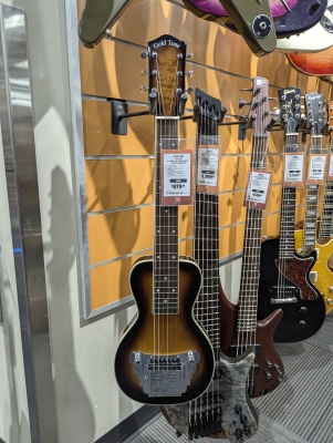 Store Special Product - GOLDTONE 6 STRING LAP STEEL