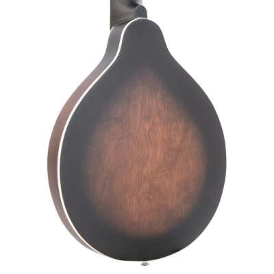 Store Special Product - Gold Tone - A-6 SB