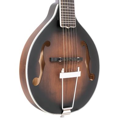 Store Special Product - Gold Tone - A-6 SB