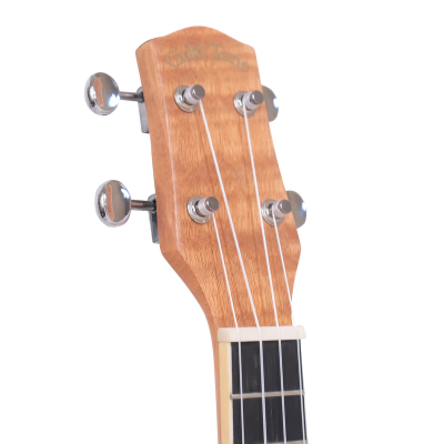 Store Special Product - Gold Tone - RESOMAPLE/T