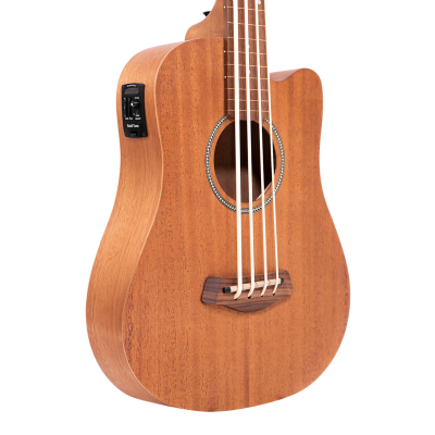 Store Special Product - Gold Tone - MBASS/FL