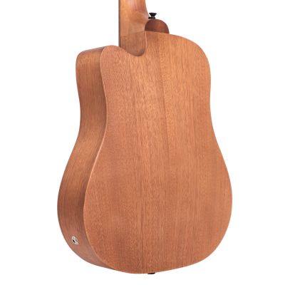 Store Special Product - Gold Tone - MBASS/FL