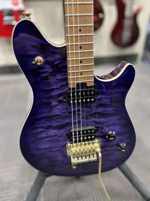 Store Special Product - EVH - 510-7701-593